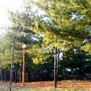 꽃피는 봄날 이미지