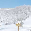 청송얼음골힐링민박