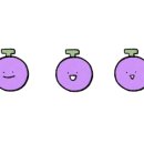 선운포도약국 이미지