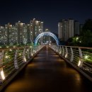 이더펠리체 이미지