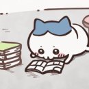 발라 이미지