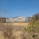 원수산 누리길 | 트레킹의 정석코스였던 행복도시둘레길 7코스(국사봉누리길) 후기
