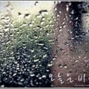 여름밤비