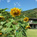 하동산수애 이미지