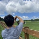 성민목장 이미지