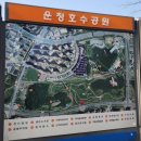 와석순환로470(운정호수공원 보행6교 스카이브릿지) | 운정호수공원 벚꽃실황 주차장 식당까지 한방에 보기