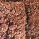 한송농장 이미지