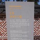 방학동 은행나무 이미지