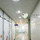 코끼리소아청소년과
