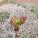 (주)삼엽 이미지