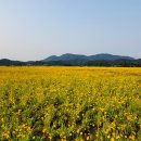 구미강정 이미지