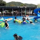 꿈꾸는시계펜션 이미지