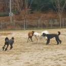 놀이터2 이미지