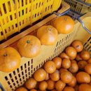 순환로2L 이미지