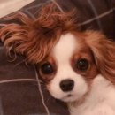 창문동물병원 이미지