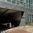 테이스팅독 이미지