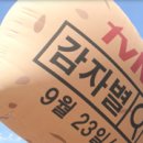빅토리애드벌룬 이미지
