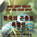 인천나비공원 인천in