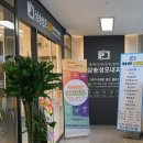 삼송성모내과의원 네이버블로그