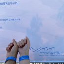 무주군청 민원실 | 축제여행_2023 무주산골영화제(23.06.03) (+주차 등 후기 꿀팁)