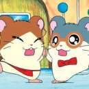 방가방가 이미지