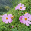 지경목장 이미지