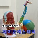 제이윤 에스테틱 | 방화동피부관리 제이윤에스테틱 두골비케어 솔직후기