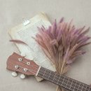 금빛초등학교 이미지