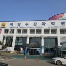 (주)제주해양과학관 | 전남 해양수산과학관 문어 있는 수족관