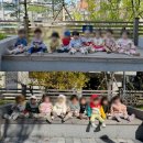 2차 무궁화상가 | 19개월 아기 581일-590일 : 낙엽놀이 매니아, 간헐적 대식좌, 고양이 러버