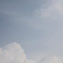 정일상회 이미지