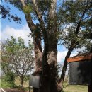 내강리 강촌 이미지