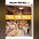 칠남매짬뽕