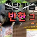 수도산 자연휴양림 이미지