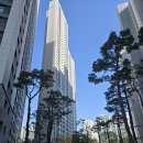 엄숙영푸르지오단지내공인중개사사무소 이미지
