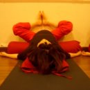 테라피 요가B 이미지