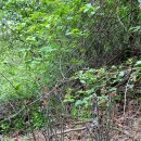 고비농장 이미지