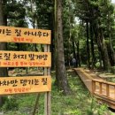 오고생이 이미지