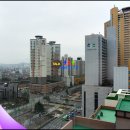 종인아네스트 이미지