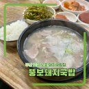부산 현지인 돼지국밥집 로컬 노포 기사식당 뚱보돼지국밥