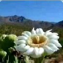 자생공인중개사사무소 이미지