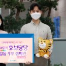 호보당당 이미지