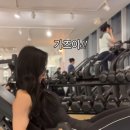 피트니스 벨 네이버블로그