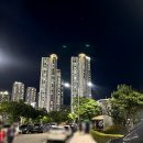 한성모터스(주) | 사직야구장 1루 내야상단석 135블럭 13열 15번 16번 자리 시야 * 크리스피크림 마이볼 야구공 도넛