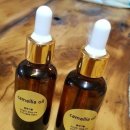 세화 동백그늘 이미지