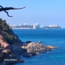 식당돈 | 양양 낙산사 근처 생선구이 맛집 광주빛고을식당 내 돈 내산 후기