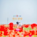 엔오엔팜 이미지