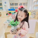 화일초등학교병설유치원 이미지