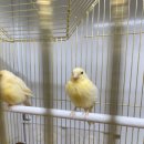 홈플러스 인하점 수족관 이미지