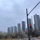 이마트24평택물류단지점 주변 | 경기도임장기_안성(250405)